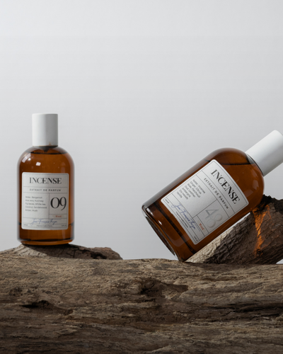 בושם מולקולה 01 - המדריך המלא להבנת ההבדלים ולבחירה הנכונה